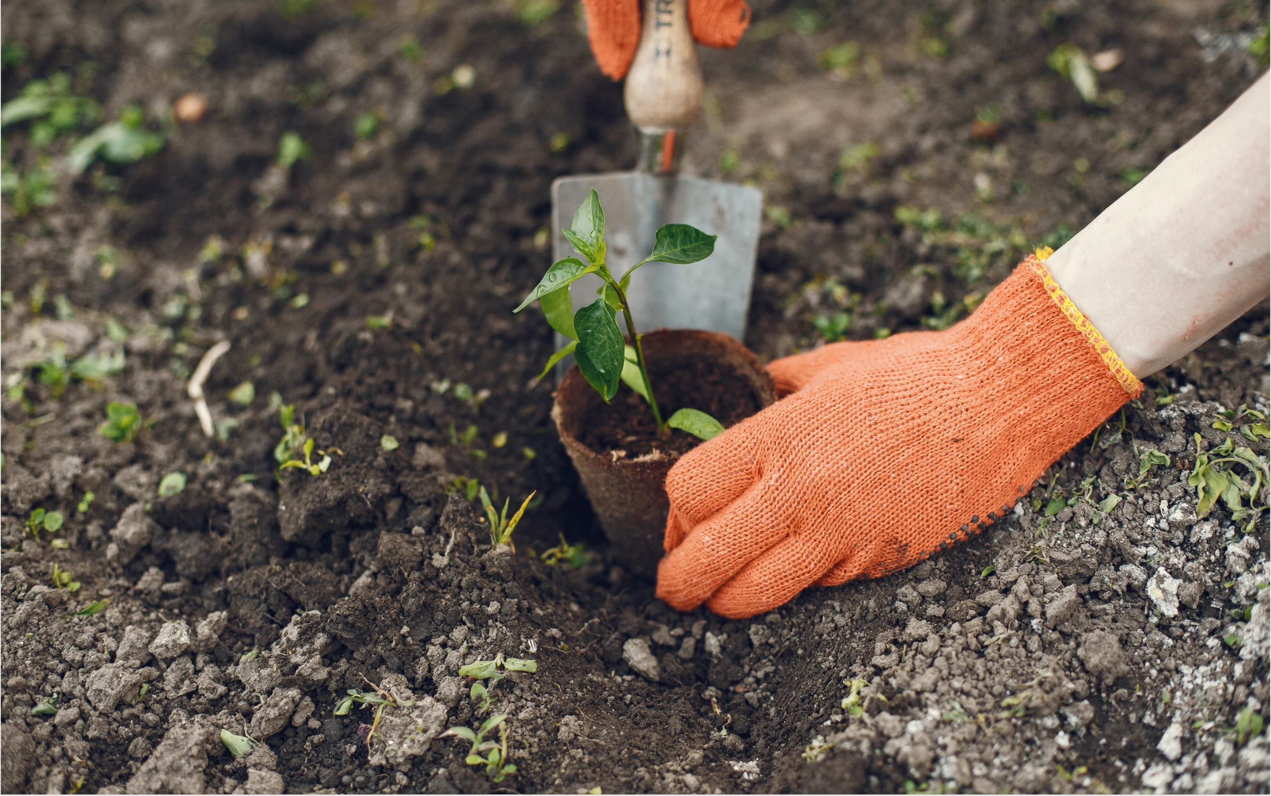 ISO 14001 certification